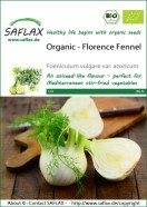 Fennel Florence ORGANIC Seeds